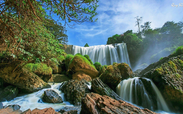 Công Ty TNHH Du Lịch Đà Lạt Trong Tôi