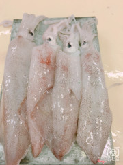 Mực ống nguyên liệu chính tạo nên tô hủ tiếu mực. Mực tươi ngon, không bị tẩm ướp hoá chất độc hại vì chúng tôi chọn mua mực tại các ghe biển, không mua qua thương lái củng như các chợ bán lẻ. Chúng tôi cam đoan mực không tươi ngon không lấy tiền. Cám ơn quý khách đã ủng hộ tất cả các chi nhánh của A Vòi