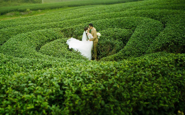 Green Wedding Studio