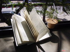 Cf bọt Long lý <3 , vị thơm ngon , ngọt ngoyj nhưng vẫn hương đắng thơm của cf