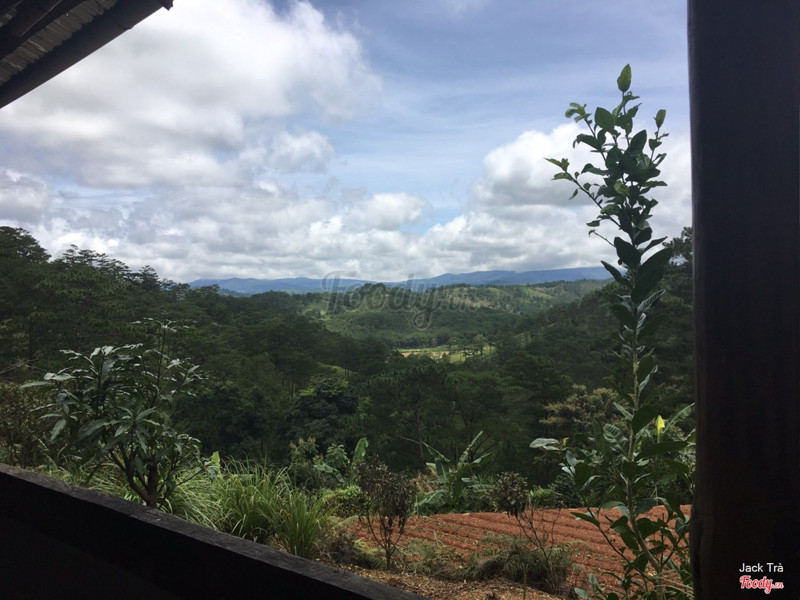 View nhìn từ quán