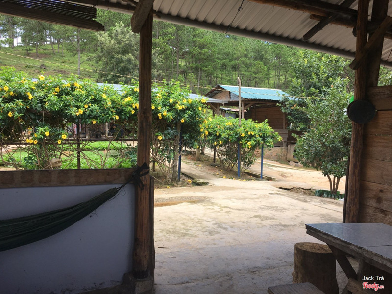 Không gian dân dã