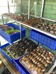 Hải sản tươi sống 