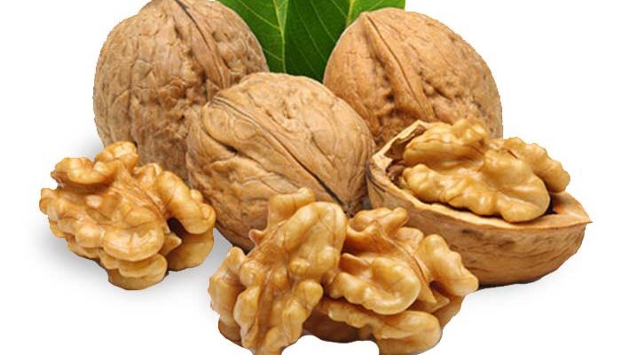 Hạt Dinh Dưỡng ORGANIC - Chuyên Sỉ & Lẻ - Nguyễn Tất Thành