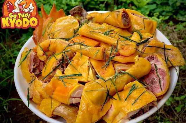 Đặc Sản Gà Đồi Tươi Ủ Muối Kyodo Food - 154 Ông Ích Đường