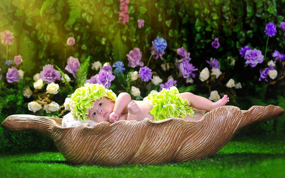 Pham Studio - Hồ Đắc Di