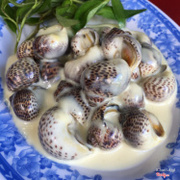 ốc bông sốt phomai