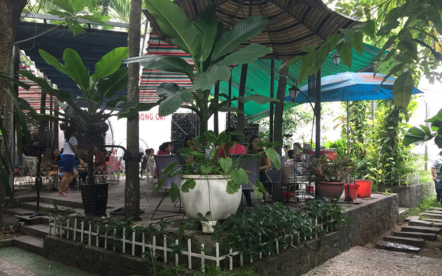 Phượng Cát Cafe