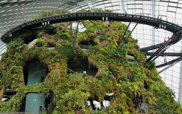 Cloud Forest Dome