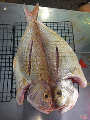 Cá chưa nướng