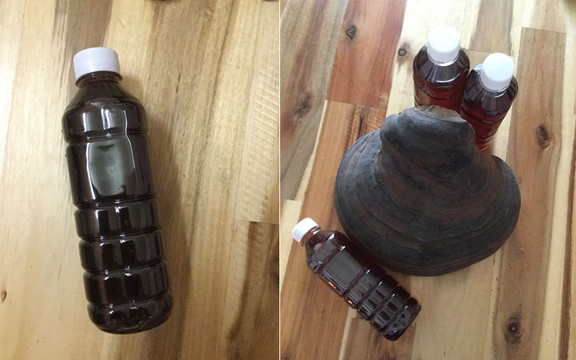 Nước Sâm Linh Chi