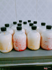 Sữa chua uống đều tươi mới mỗi ngày khách ơi. Liên hệ 0975113007