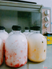 Sữa chua uống hôm nay trả khách. Các vị hoa quả.