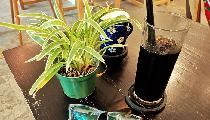 HD Gia Lai Coffee - Nguyễn Viết Xuân