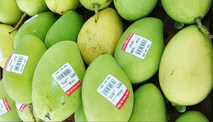 Seika Mart - Lý Nam Đế