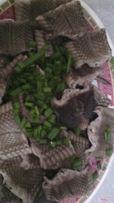 Rắn Hổ Mang
