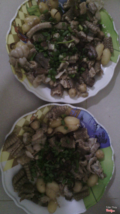 Cháo Rắn Hổ Mang đây