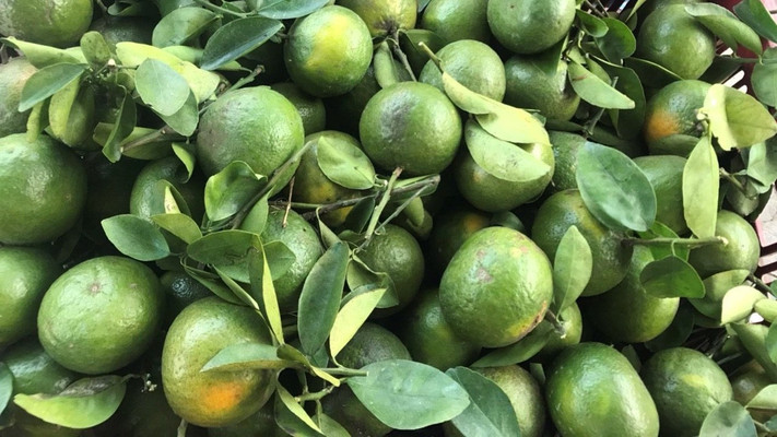 Vựa Trái Cây Bamboo - Nguyễn Tiểu La