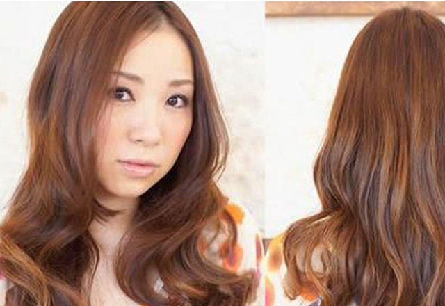 Kim Cúc Uốn Tóc - Nguyễn Xí