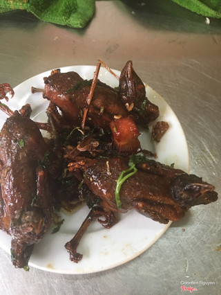 Chim quay lá móc mật