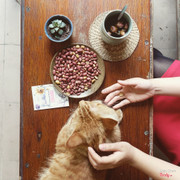 Lạc rang húng lìu + trà hoa hồng + em mèo Lạc Lạc