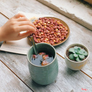 Trà hoa hồng + lạc rang