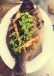 Cá Chim nướng muối ớt.