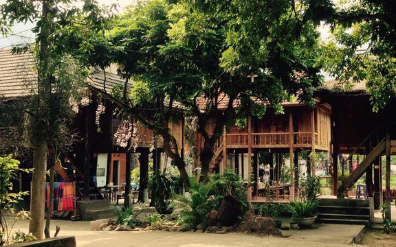 Linh Soi Homestay