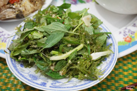 Gỏi rong biển ( Bún biển)