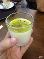 Panna cotta kiwi