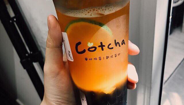 Trà Tiên Hưởng Cotcha