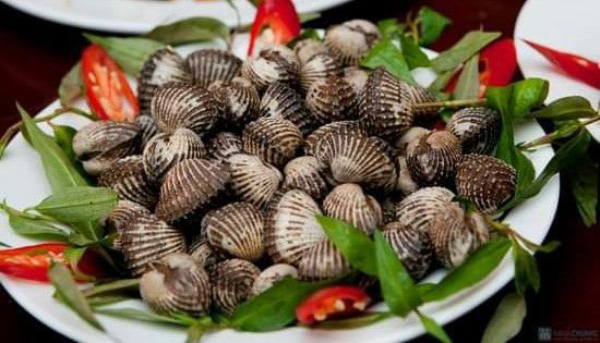 Ốc Đêm 81 - Bàu Bàng