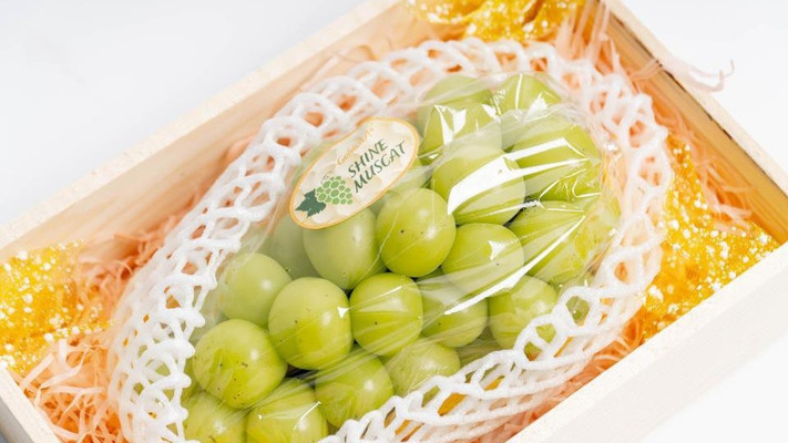 F99 - Nền Tảng Mua Sắm Trái Cây - Phú Diễn