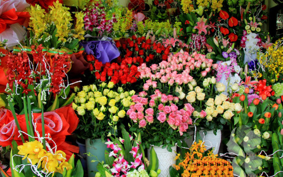 Huệ - Hoa Tươi Nghệ Thuật
