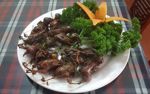 Bốp Bi - Chim Trời Quán