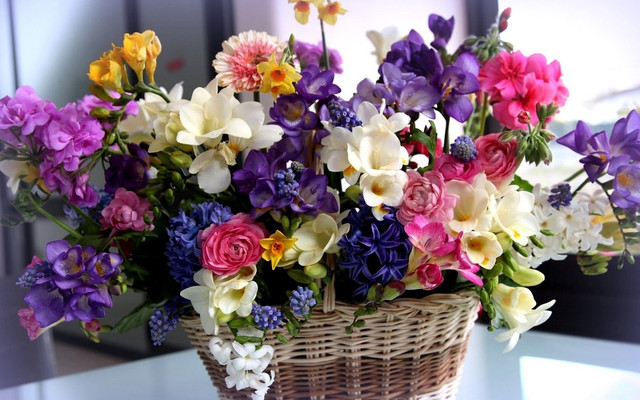 Florist Saigon - Shop Hoa Online