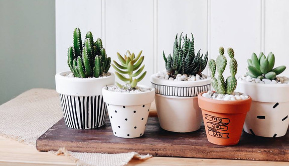 Mercy Home - Home Decor & Gift