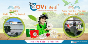 Yến sào phan thiết bình thuận