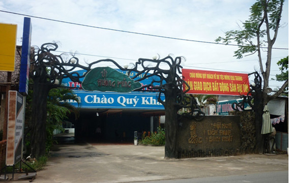 Hương Rừng 