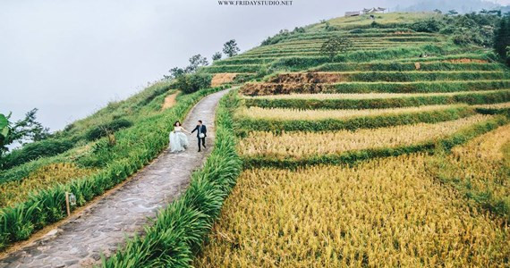 Friday Studio - Đỗ Hành