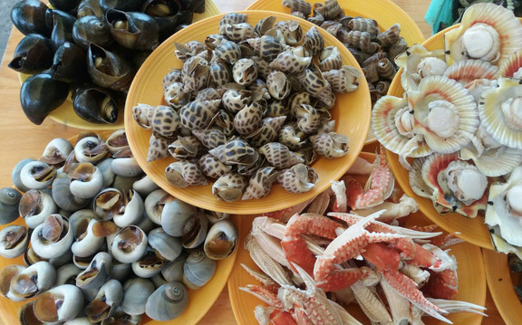 2 Rãnh - Quán Ốc