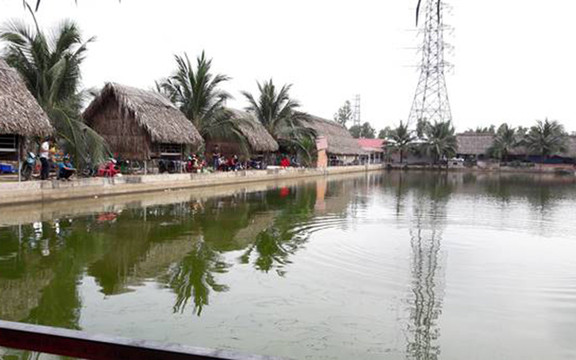 Ao Cá Vườn Dừa