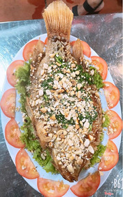 Cá Tai Tượng Chiên Giòm