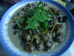 Ốc len 25k/dĩa