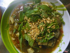 Sò huyết 25k/dĩa