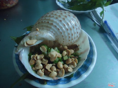 Ốc giấm 20k/con