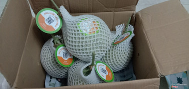 Dưa lưới Lanifarm
SĐT: 034 6880246
Website: https://lanifarm.com