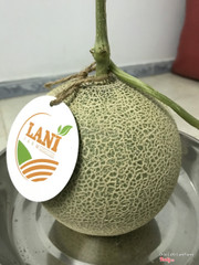 Dưa lưới Lanifarm
SĐT: 034 6880246
Website: https://lanifarm.com