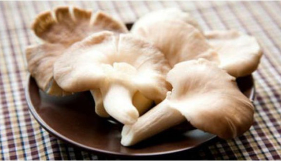 Nấm Sạch Đảo Nổi