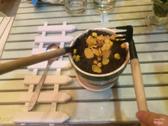 Kem chậu cây mix socola+vani (55k)